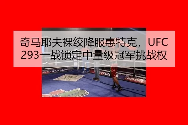 qi-ma-ye-fu-luo-jiao-xiang-fu-hui-te-ke-yi-zhan-suo-ding-zhong-liang-ji-guan-jun-tiao-zhan-quan-3-253.jpg