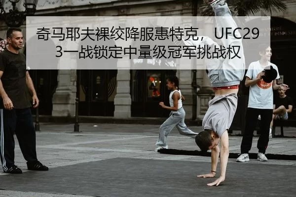 奇马耶夫裸绞降服惠特克，UFC293一战锁定中量级冠军挑战权