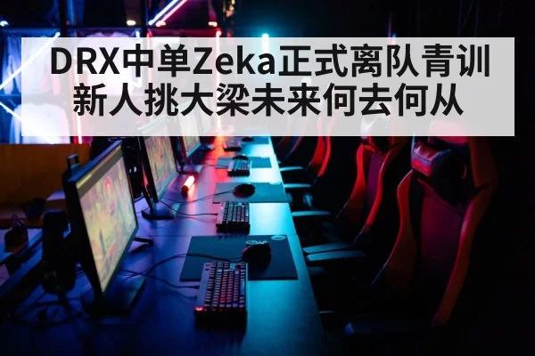 DRX中单Zeka正式离队青训新人挑大梁未来何去何从